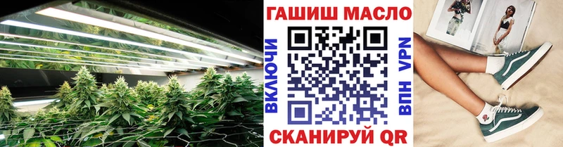 где можно купить   Енисейск  Дистиллят ТГК THC oil 