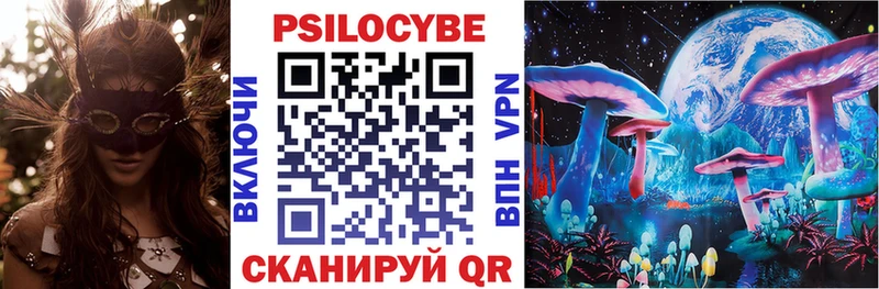 Галлюциногенные грибы Psilocybe  где продают наркотики  Енисейск 